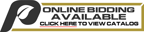 Online Bidding